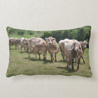 Brown swiss nap pillow