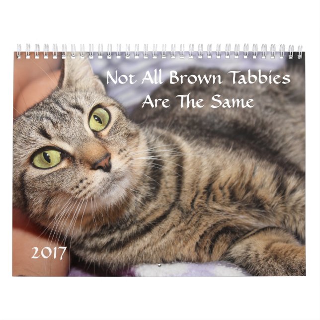 BROWN TABBY 2017 CALENDAR (Cover)