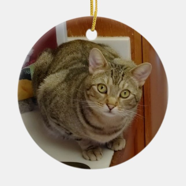 Brown Tabby Cat Christmas Ornament (Front)