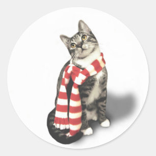 Brown Tabby Cat in a Red and White scarf Classic Round Sticker