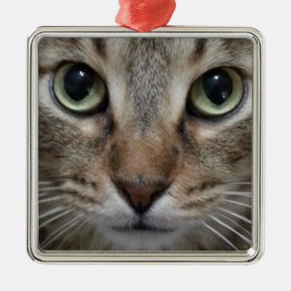 Brown Tabby Cat Metal Ornament