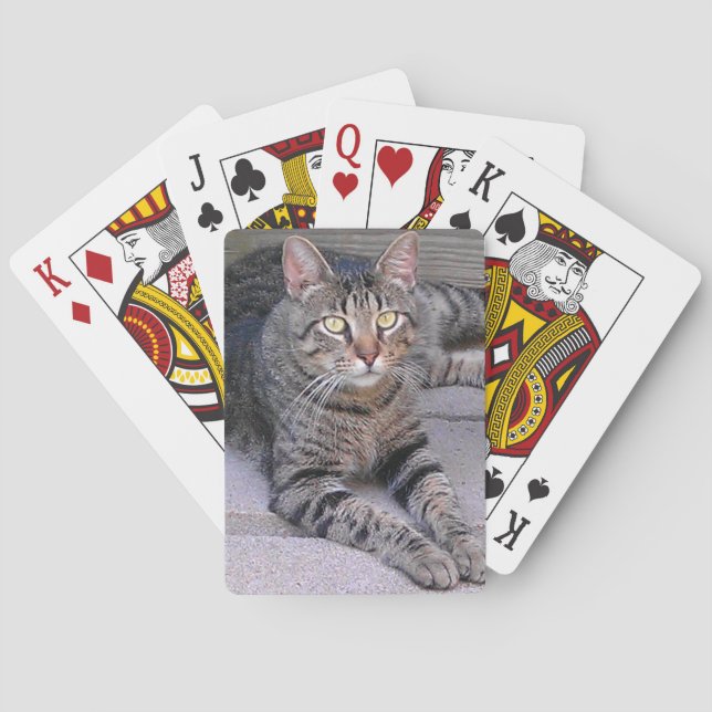 Brown Tabby Cat Outdoors Playing Cards (Back)
