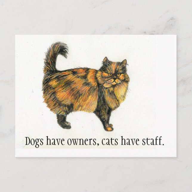 Brown Tabby Cat Postcard (Front)