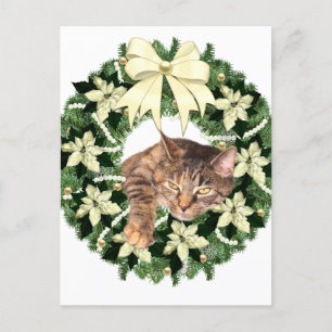 Brown tabby Christmas Holiday Postcard