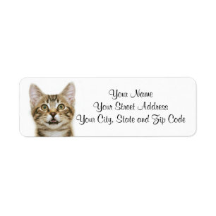 Brown Tabby Kitten Return Address Label
