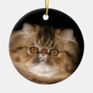 Brown tabby persian ceramic tree decoration