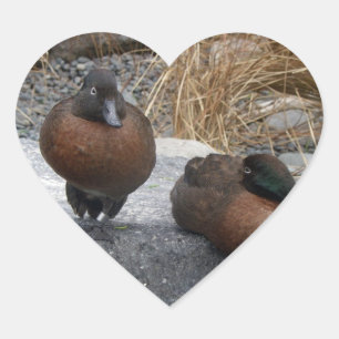 Brown Teal Heart Sticker
