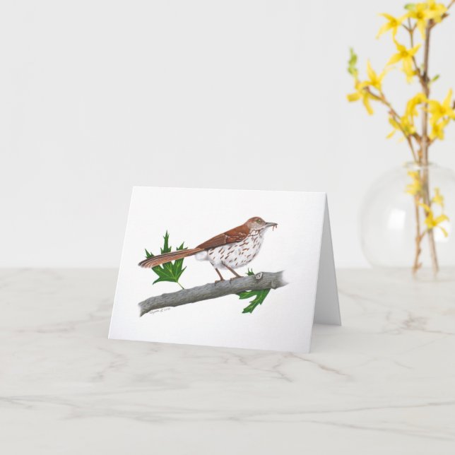 Brown Thrasher Inspirational Greeting Card (Yellow Flower)
