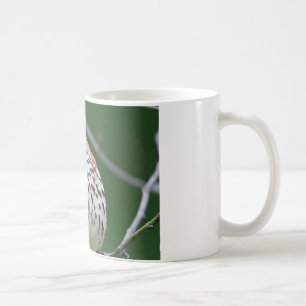Brown Thrasher w/ Catch Of the Day Gifts Apparel Coffee Mug