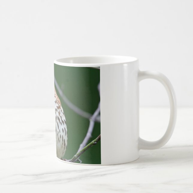 Brown Thrasher w/ Catch Of the Day Gifts Apparel Coffee Mug (Right)