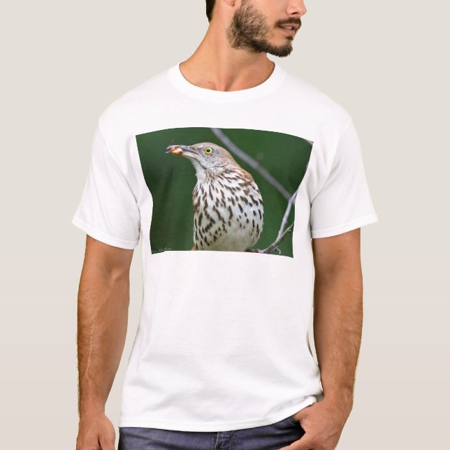Brown Thrasher w/ Catch Of the Day Gifts Apparel T-Shirt (Front)