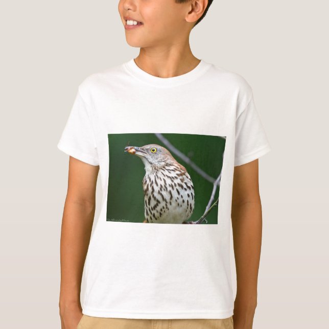 Brown Thrasher w/ Catch Of the Day Gifts Apparel T-Shirt (Front)