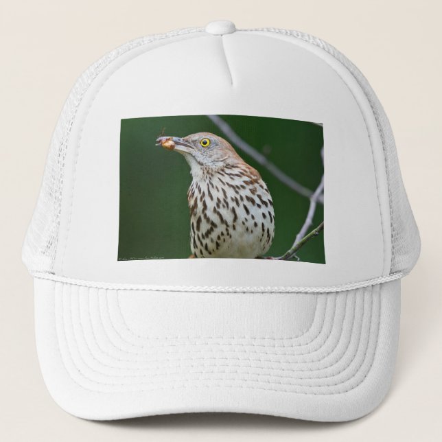 Brown Thrasher w/ Catch Of the Day Gifts Apparel Trucker Hat (Front)