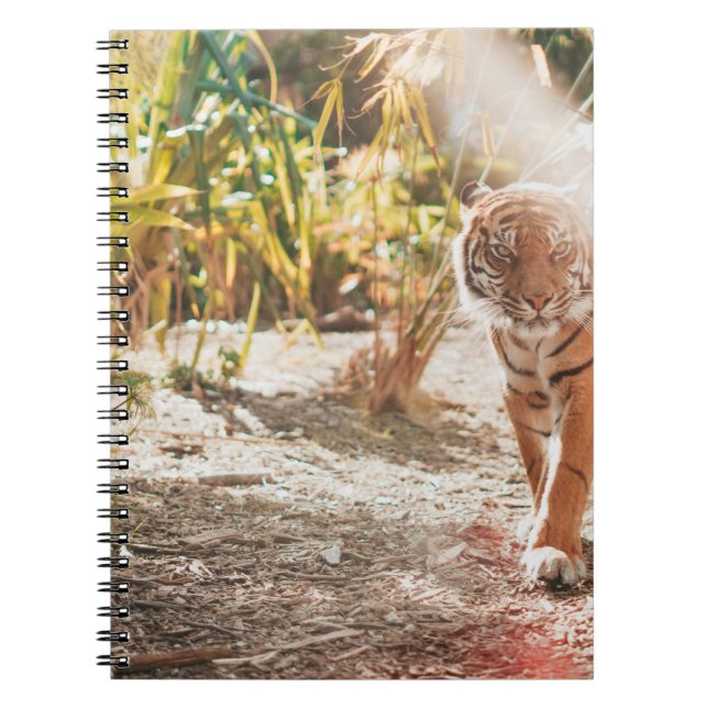 BROWN TIGER IN WALKING GESTURE NOTEBOOK (Front)