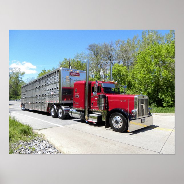 Brown Transport 379 Poster (Front)