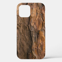Brown tree bark in closeup photography