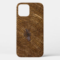 Brown tree trunk