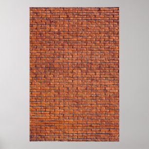 Brown tree trunk poster