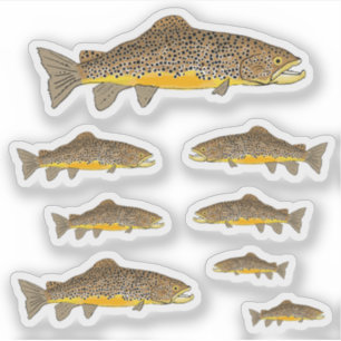 Brown Trout