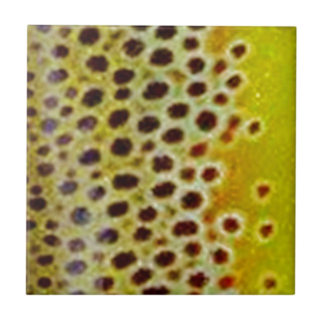 Brown Trout by PatternWear© Ceramic Tile (Front)