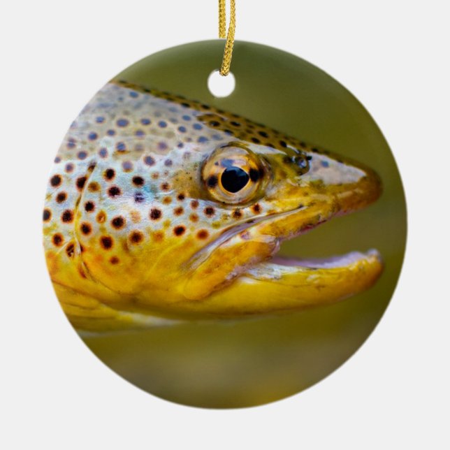 Brown Trout Ceramic Ornament (Front)