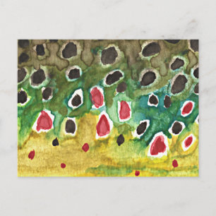 Brown Trout Fish Postcard
