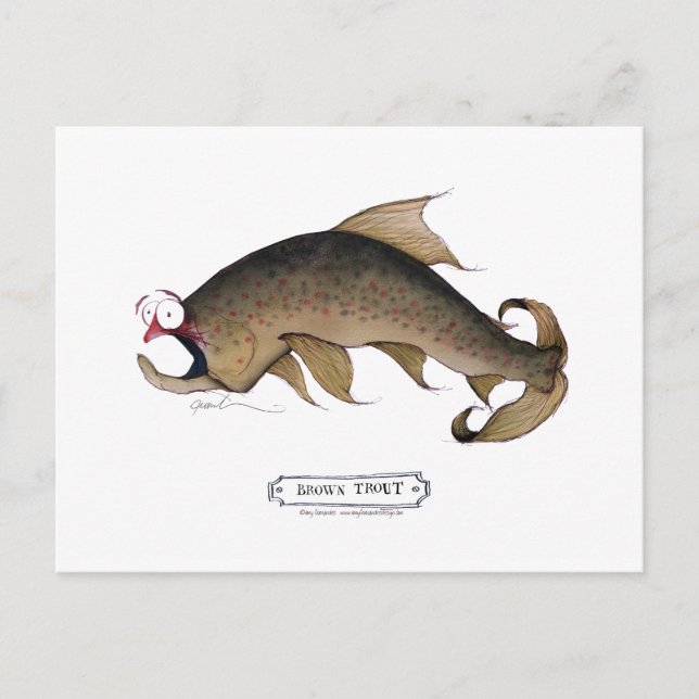 Brown Trout fish, tony fernandes Postcard (Front)