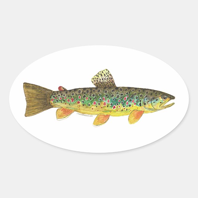 Brown Trout Fishing Oval Sticker (Front)