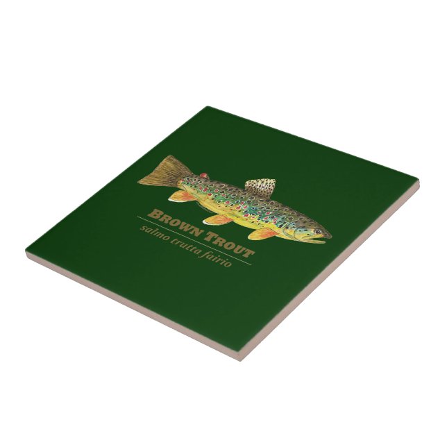 Brown Trout Latin Ichthyology Ceramic Tile (Side)