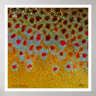 Brown Trout Poster
