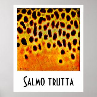 Brown Trout Poster