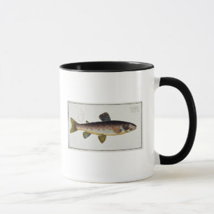 Brown Trout (Salmo Iasustris) plate XXIII from 'Ic Mug