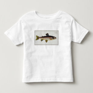 Brown Trout (Salmo Iasustris) plate XXIII from 'Ic Toddler T-Shirt