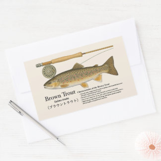 Brown Trout (Salmo trutta) – English Illust Rectangular Sticker