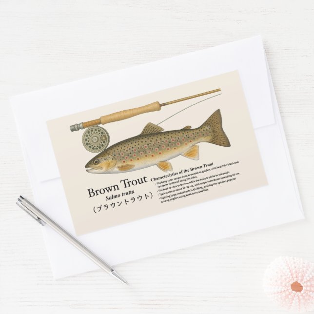 Brown Trout (Salmo trutta) – English Illust Rectangular Sticker (Envelope)