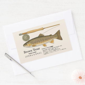 Brown Trout (Salmo trutta) – Japanese Illust Rectangular Sticker