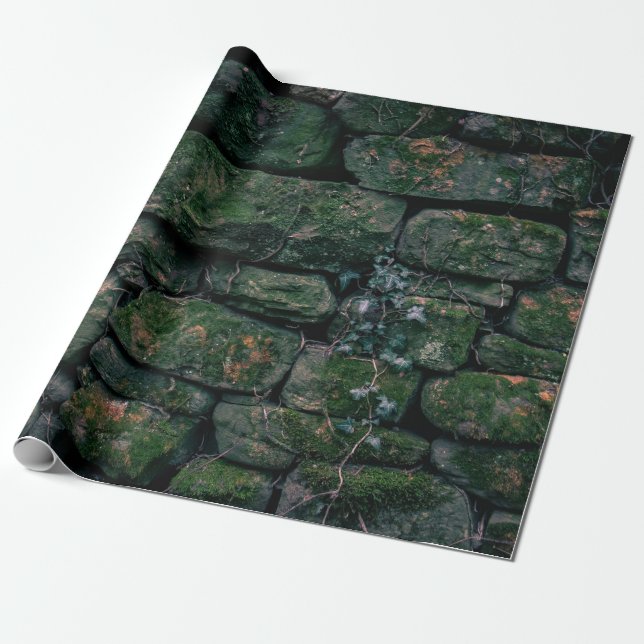 Brown vines on stacked stone blocks wrapping paper (Unrolled)