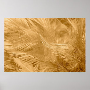 Brown vintage colour trends chicken feather textur poster