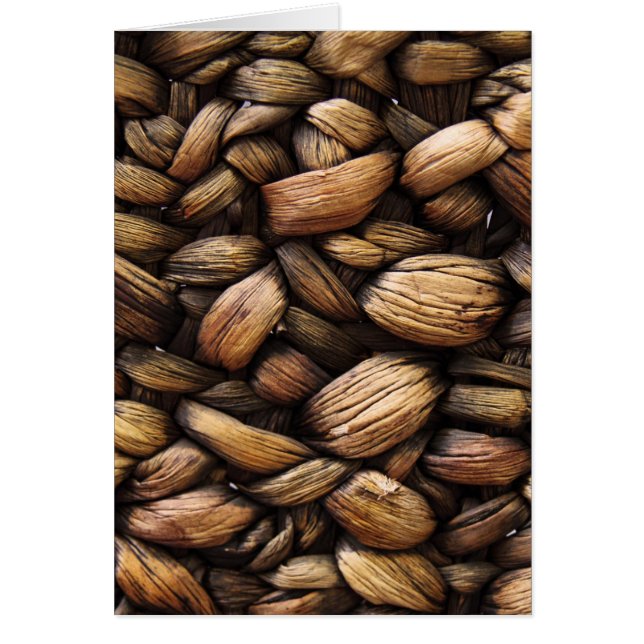 Brown Walnut Shells (Front)