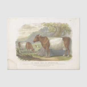 Brown White Cow Ephemera Decoupage Vintage Farm Tissue Paper