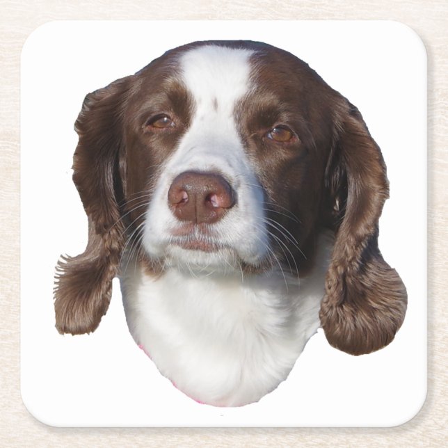Brown & White Dog paper coasters (Front)