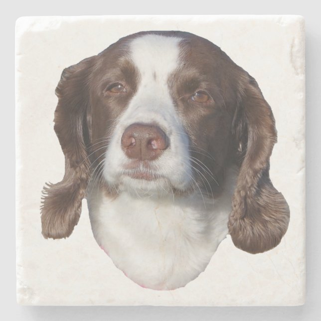 Brown & White Dog stone coasters (Front)