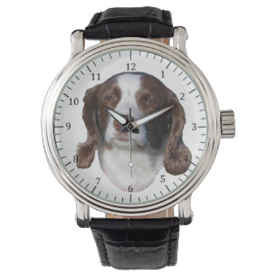 Brown & White Dog watch