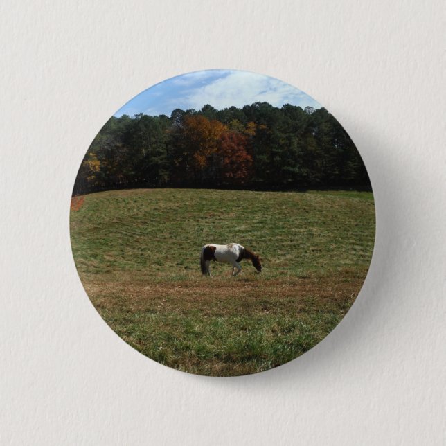 Brown & White horse 6 Cm Round Badge (Front)