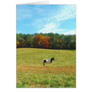 Brown & White horse,autumn trees,blue sky