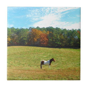 Brown & White horse,autumn trees,blue sky Ceramic Tile