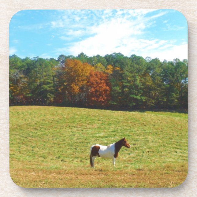 Brown & White horse,autumn trees,blue sky Coaster (Front)