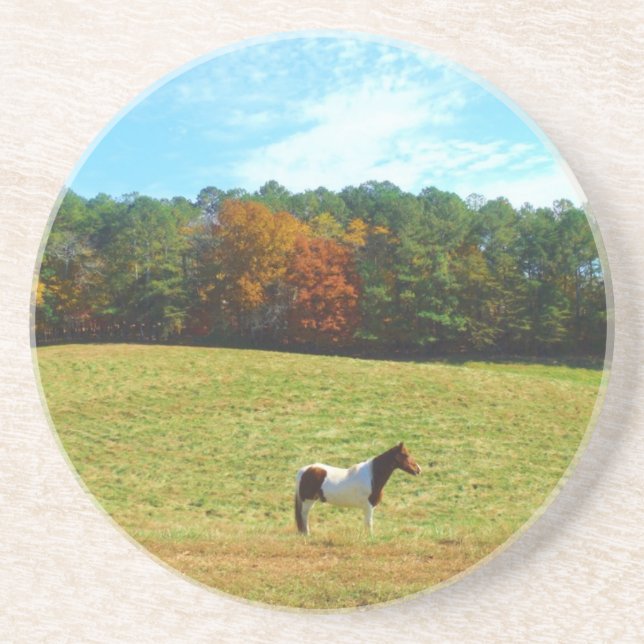 Brown & White horse,autumn trees,blue sky Coaster (Front)