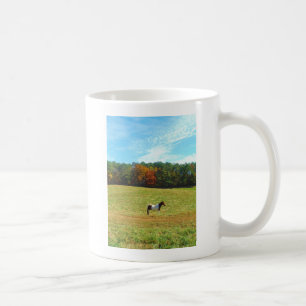 Brown & White horse,autumn trees,blue sky Coffee Mug