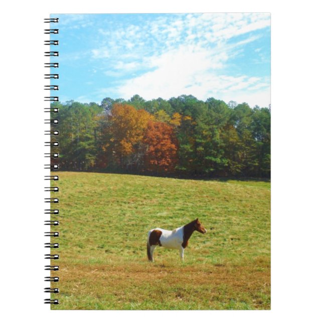 Brown & White horse,autumn trees,blue sky Notebook (Front)
